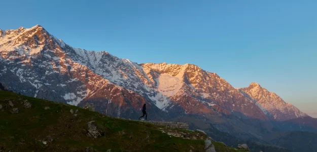 Vagabond Experiences