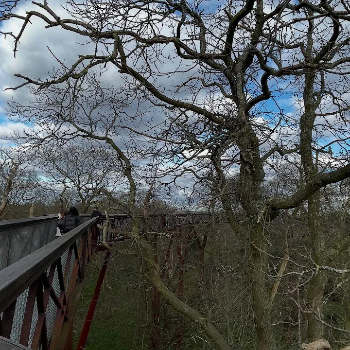 Mumbai Day Out (Walkeshwar & Malabar Hill) - Image 3