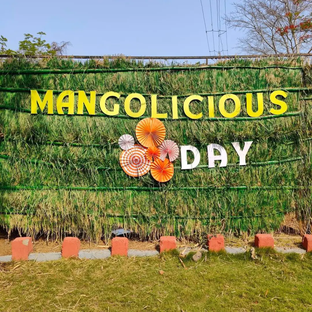 Mango Festival Experience – Wada - Image 2