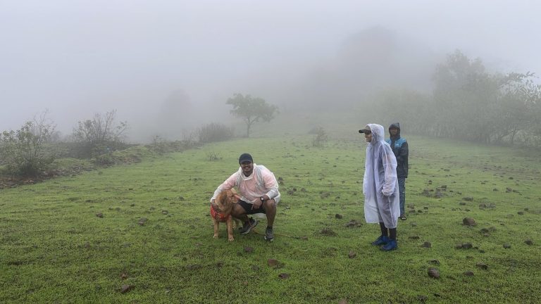 Doggos Day Out Combo — Karjat Meadow Hike