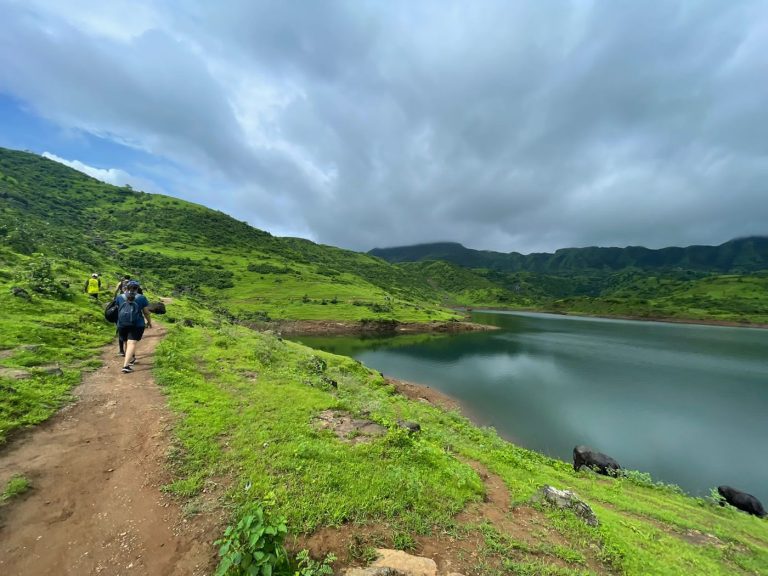 Favourite Treks Combo — Garbett Plateau + Lost Lagoon Loop