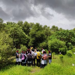 Beyond the City. Into the Mangroves.